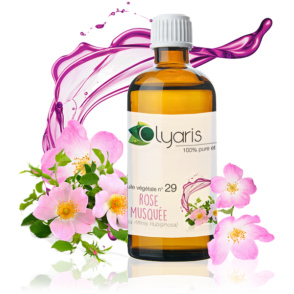 Traitement Naturel du Psoriasis aux Huiles Essentielles : HV Rose Musquée